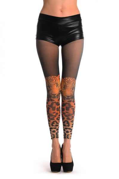 Leopard Over The Knee Footless