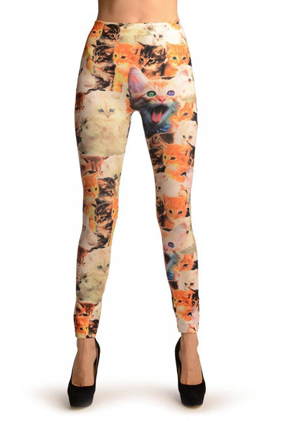 Cute Kittens Collage On White Leggings